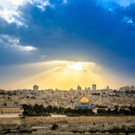 Иерусалим природа (54 фото)
