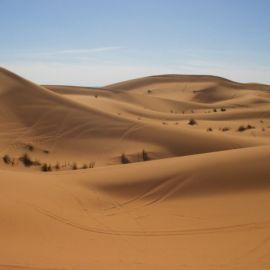 Мираж в пустыне (56 фото)