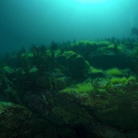 Подводный мир Байкала (58 фото)