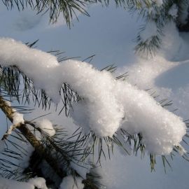 Сверкающий снег (59 фото)