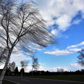 Усиление ветра (51 фото)