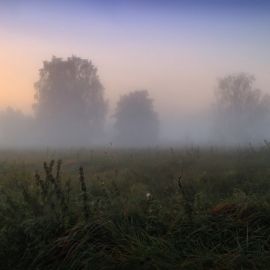 Туман в поле (53 фото)