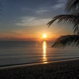 Пальмы пляж закат (52 фото)