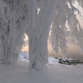 Снежная Сибирь (56 фото)