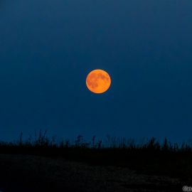 Оранжевая Луна (55 фото)