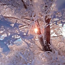 Снег и солнце день чудесный (53 фото)
