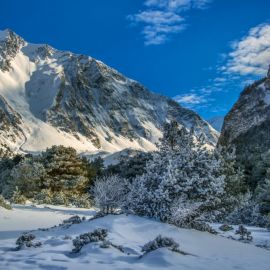 Снежный Домбай (55 фото)