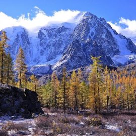 Горы Южной Сибири (59 фото)