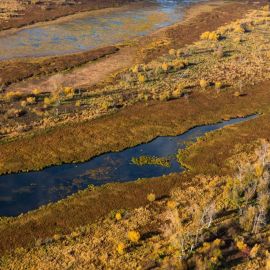 Васюганские болота заповедник (57 фото)
