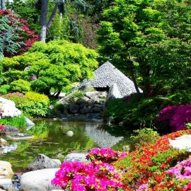 Самые красивые сады (57 фото)