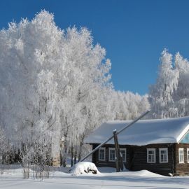 Морозный день в деревне (60 фото)