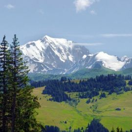Монблан Альпы (54 фото)