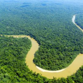 Река Амазонка в Бразилии (55 фото)