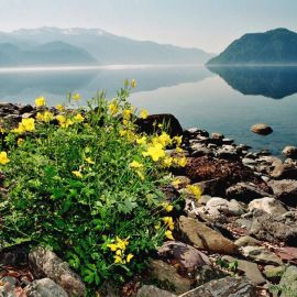 Природа Телецкого озера (60 фото)