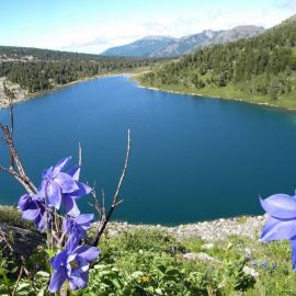 Белокуриха алтай (70 фото)