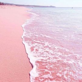 Розовый пляж (69 фото)