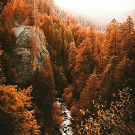 Осень красота природы (75 фото)