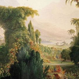 Эдемский сад гвинея (71 фото)