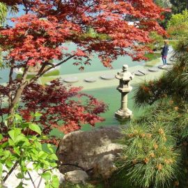 Парк айвазовского японский сад (73 фото)