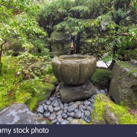 Цукубай в японском саду (64 фото)