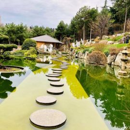 Мрия ялта японский сад (76 фото)