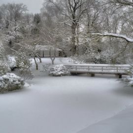 Ботанический сад зимой (74 фото)