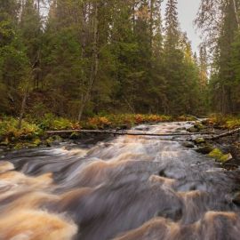 Экопарк долина водопадов карелия лахденпохский район (76 фото)