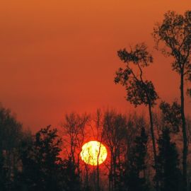 Красное солнце на закате (64 фото)