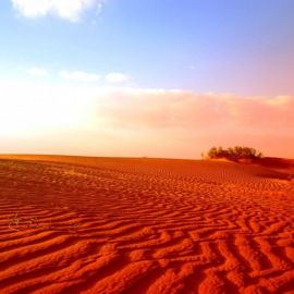 Пустыня большой нефуд (72 фото)
