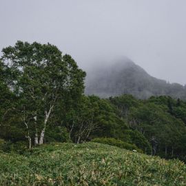 Гора крузенштерна сахалин (76 фото)