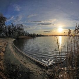 Беленькое озеро шатура (77 фото)