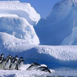 Антарктида пейзаж (57 фото)