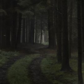 Тропинка в темном лесу (50 фото)