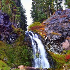 Горный водопад в лесу (44 фото)