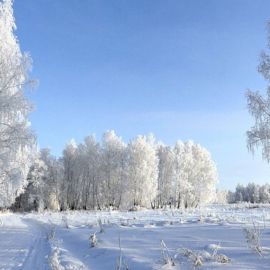 Зимний февральский пейзаж (49 фото)