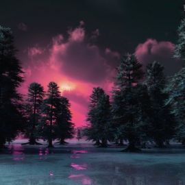 Зимний пейзаж ночью (53 фото)