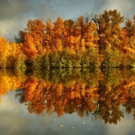 Осенний лес пейзаж (47 фото)