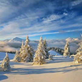 Зимний пейзаж снег (48 фото)
