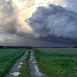 Зеленеющие нивы зеленее под грозой (48 фото)