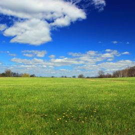 Пейзаж трава и небо (51 фото)