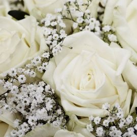 Цветы белые розы (73 фото)
