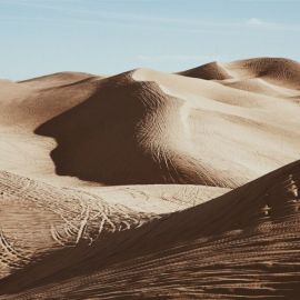 Пустынное поле (48 фото)