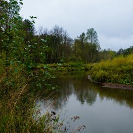 Малая пудица река (51 фото)