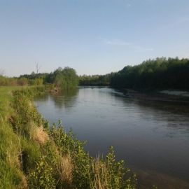 Река инза (50 фото)