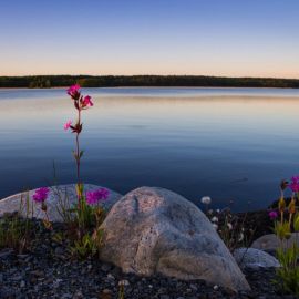 Озеро бердюжье (53 фото)