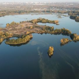 Озеро обкомовское гомель (49 фото)