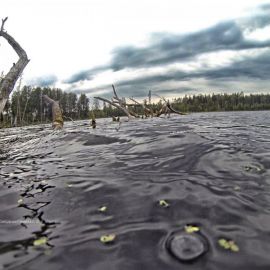 Смердячье озеро шатура (54 фото)