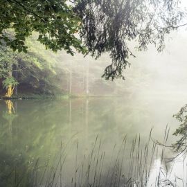 Озеро турсунтский туман (46 фото)