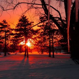 Закат в зимнем лесу (57 фото)