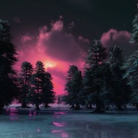 Фиолетовый лес зима (48 фото)